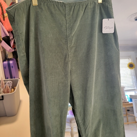Free People Pants - NWT Free People Jenny High Rise Skinny Flare